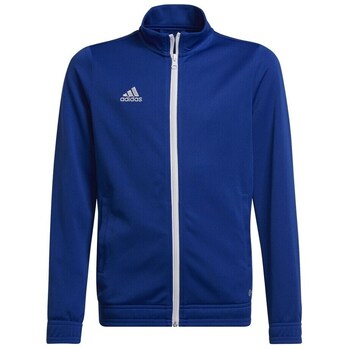 Adidas Sweater  Entrada 22 Track