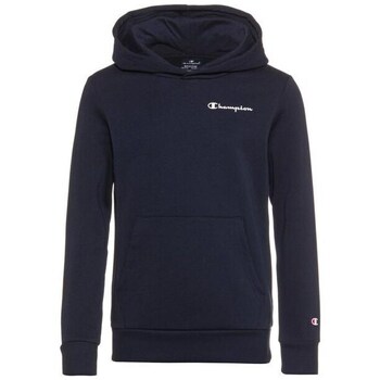 Champion Sweater  Legacy