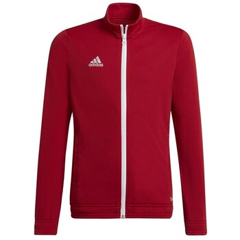 Adidas Sweater  Entrada 22 Track