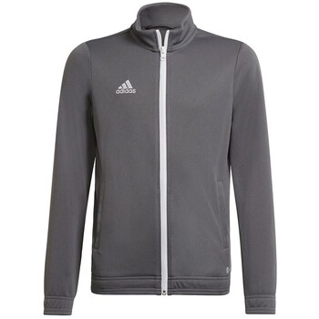 Adidas Sweater  Entrada 22 Track