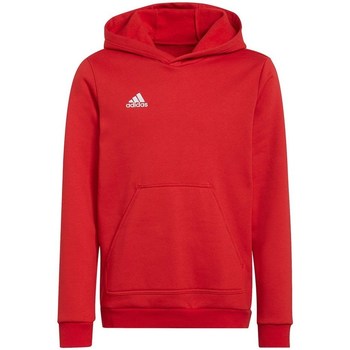 Adidas Sweater  Entrada 22