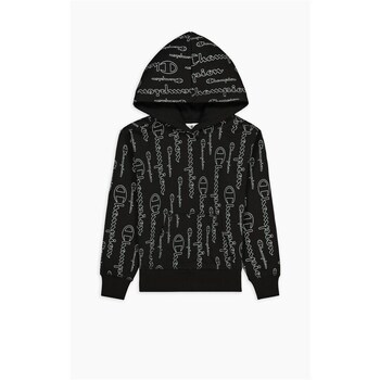 Champion Sweater  American Classic