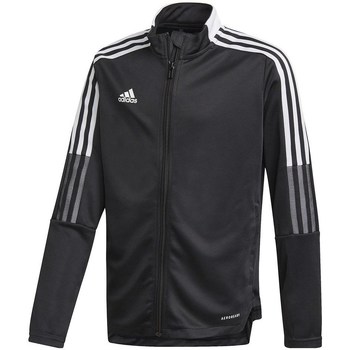 Adidas Sweater  Tiro 21