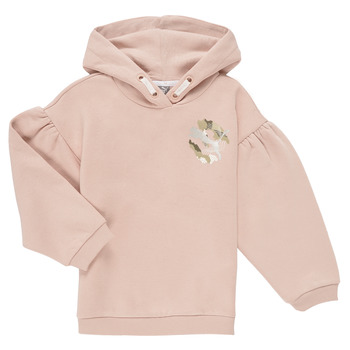 Puma Sweater  ALPHA HOODIE