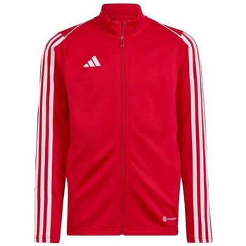 Adidas Sweater  Tiro 23 League Training JR