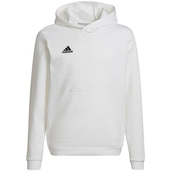 Adidas Sweater  Entrada 22