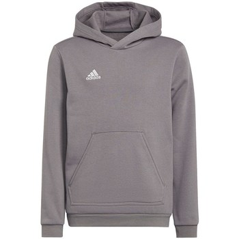 Adidas Sweater  Entrada 22 Hoody