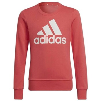 Adidas Sweater  HE1984