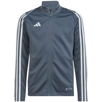 Adidas Sweater  Tiro 23 League Training JR