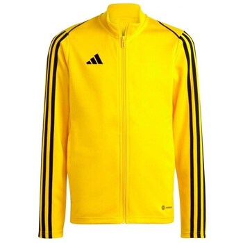 Adidas Sweater  Tiro 23 League Training JR