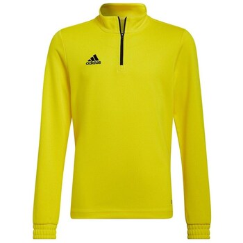 Adidas Sweater  Entrada 22 Training