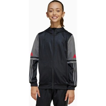 Adidas Sweater  Squadra 25