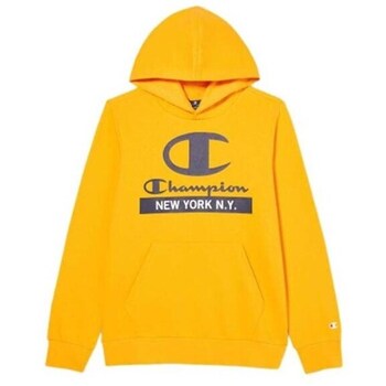 Champion Sweater  Hooded Sweatshirt