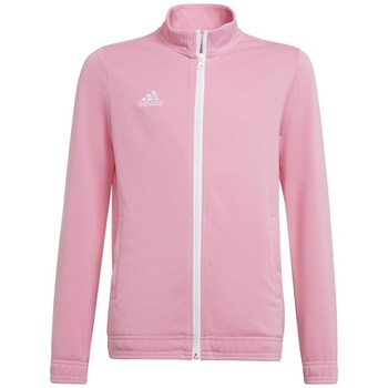 Adidas Sweater  Entrada 22