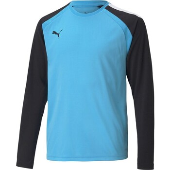 Puma Sweater  Teampacer Gk