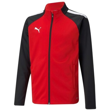 Puma Sweater  Teamliga Poly