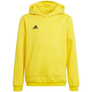 Adidas Sweater  Entrada 22