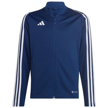 Adidas Sweater  Tiro 23 League Training JR
