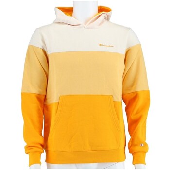 Champion Sweater  American Classic