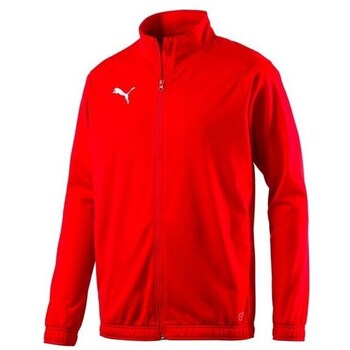 Puma Sweater  Sideline