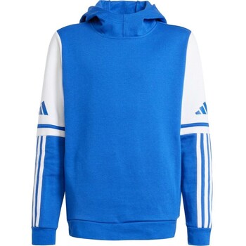 Adidas Sweater  Squadra 25