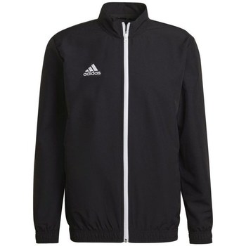 Adidas Sweater  Entrada 22