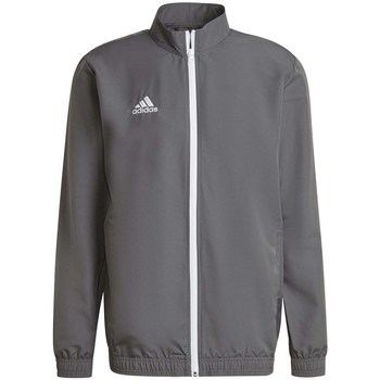 Adidas Sweater  Entrada 22 Presentation