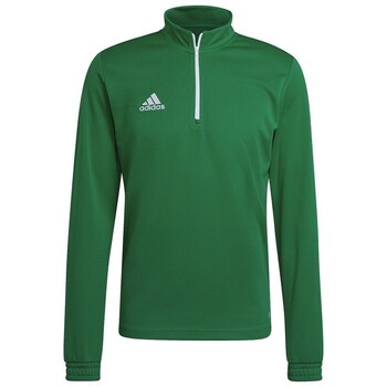 Adidas Sweater  Entrada 22 Training