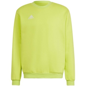 Adidas Sweater  Entrada 22