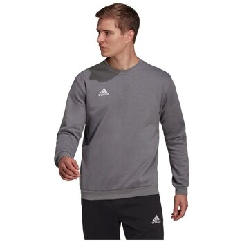 Adidas Sweater  Entrada 22