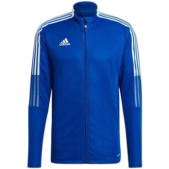 Adidas Sweater  Tiro 21