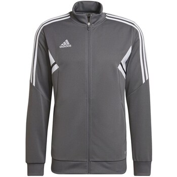 Adidas Sweater  Condivo 22