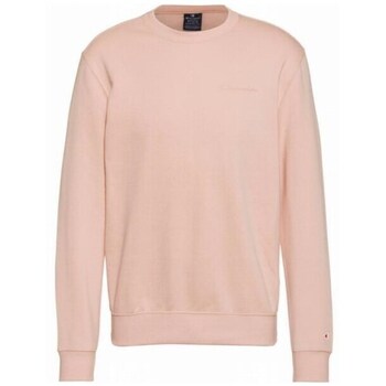 Champion Sweater  Crewneck Sweatshirt