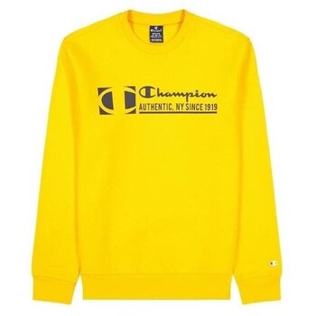 Champion Sweater  217995YS113