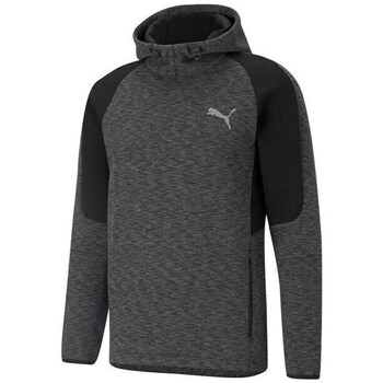 Puma Sweater  Evostripe Hoodie