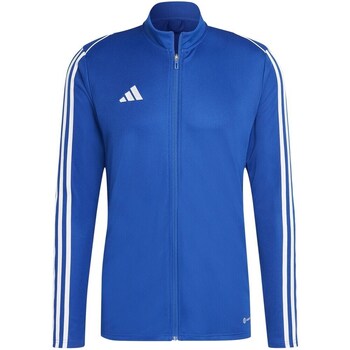 Adidas Sweater  Tiro 23 League Training