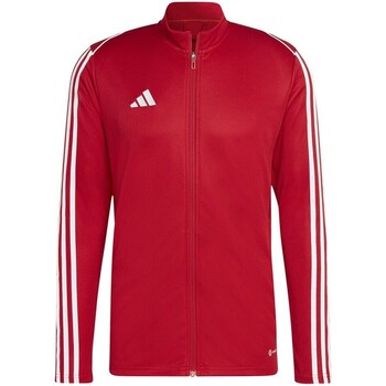 Adidas Sweater  Tiro 23 League Training