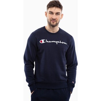 Champion Sweater  B24173