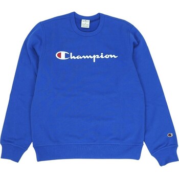 Champion Sweater  B24183