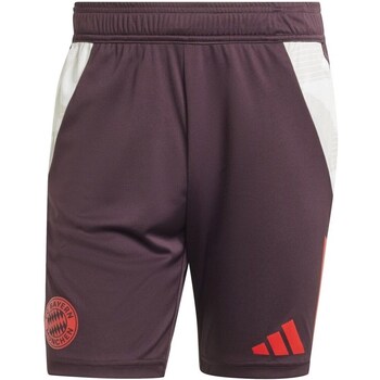 Adidas Korte Broek  IS9949