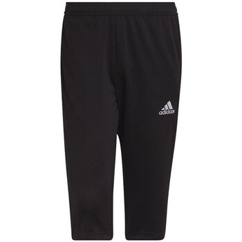 Adidas Broek  Entrada 22
