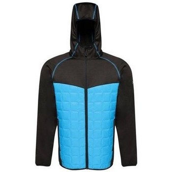 Regatta Blazer  Modular Thermal