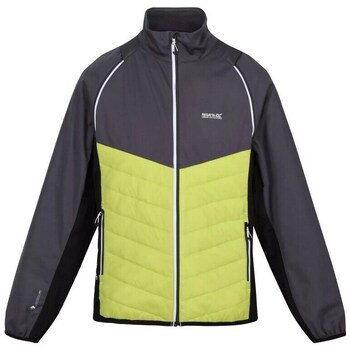 Regatta Blazer  Softshelljacke Und Weste Steren