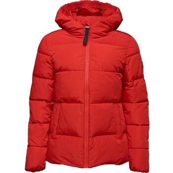Loap Blazer  Tadarida