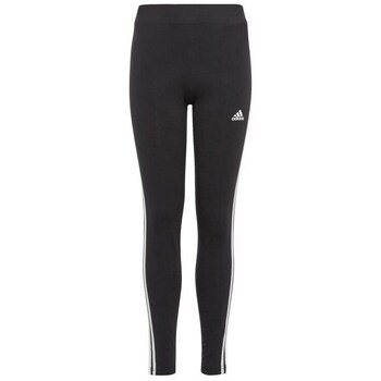 Adidas Broek  3 Stripes Tight