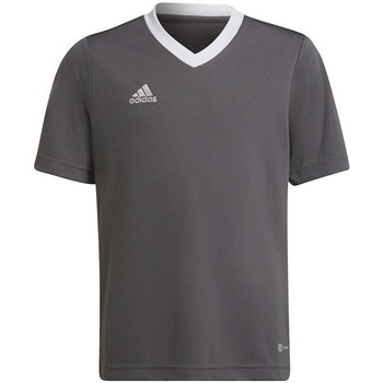 Adidas T-shirt Korte Mouw  Entrada 22 Jsy