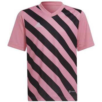 Adidas T-shirt Korte Mouw  Entrada 22