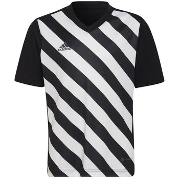Adidas T-shirt Korte Mouw  Entrada 22 Graphic Jersey