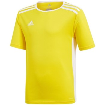 Adidas T-shirt Korte Mouw  JR Entrada 18