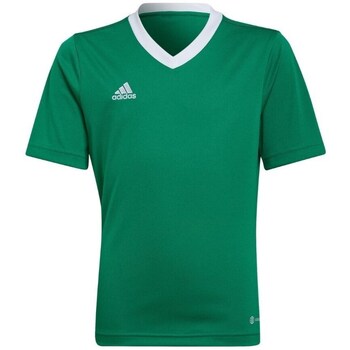 Adidas T-shirt Korte Mouw  Entrada 22